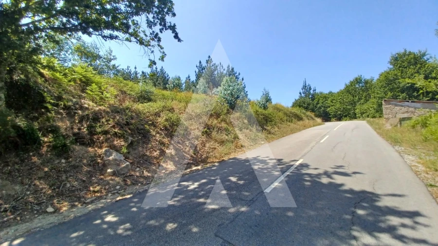 Terreno para Venda em Couto de Baixo e Couto de Cima Foto 13