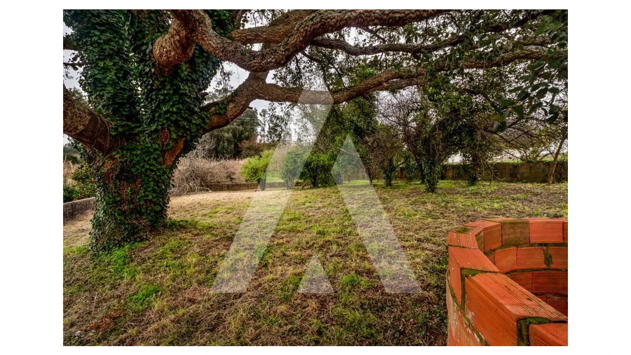 Terreno para Venda em Salreu Foto 3