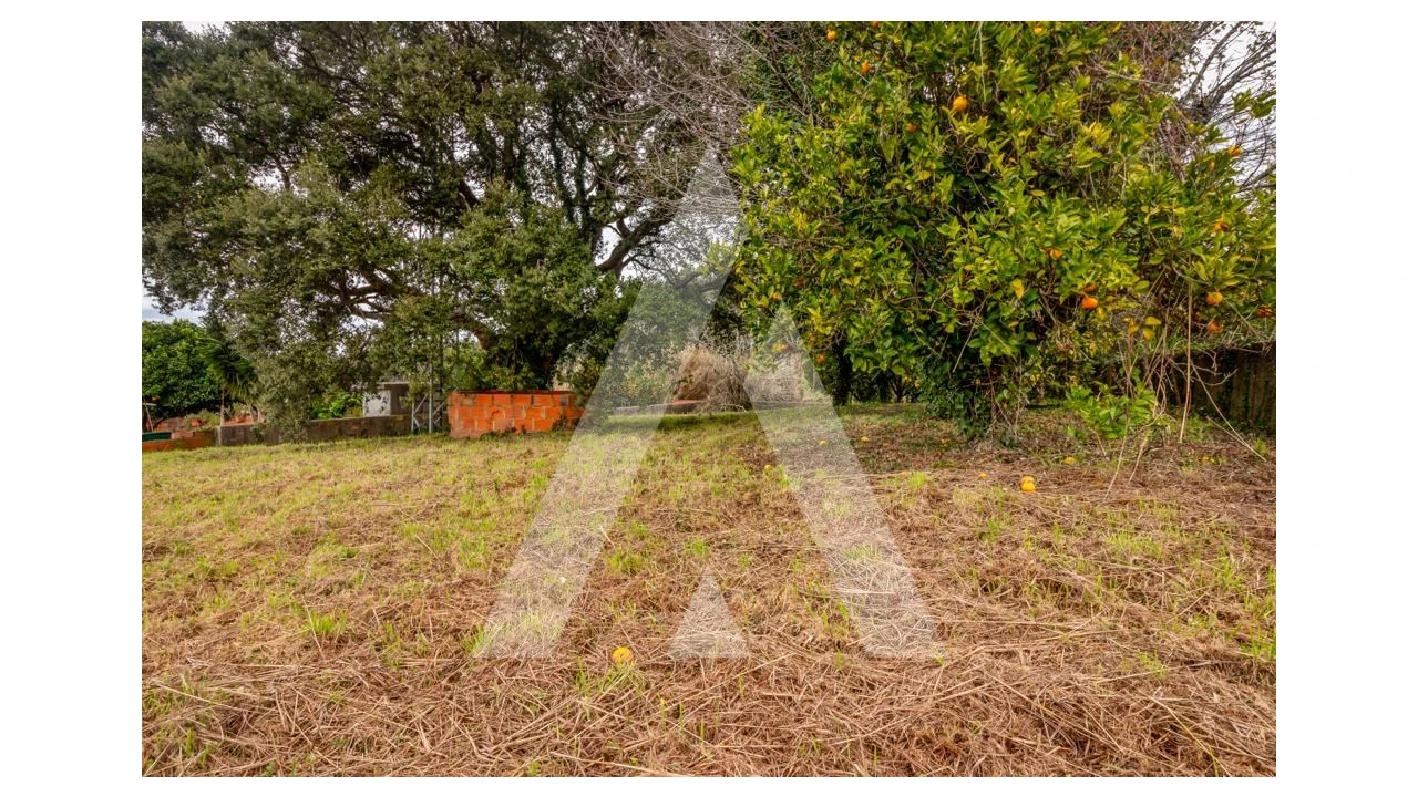 Terreno para Venda em Salreu Foto 6