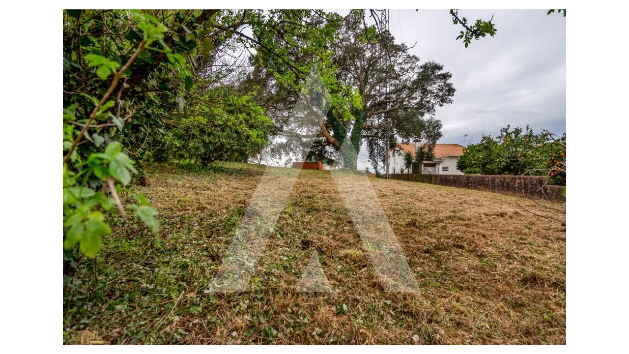 Terreno para Venda em Salreu Foto 7
