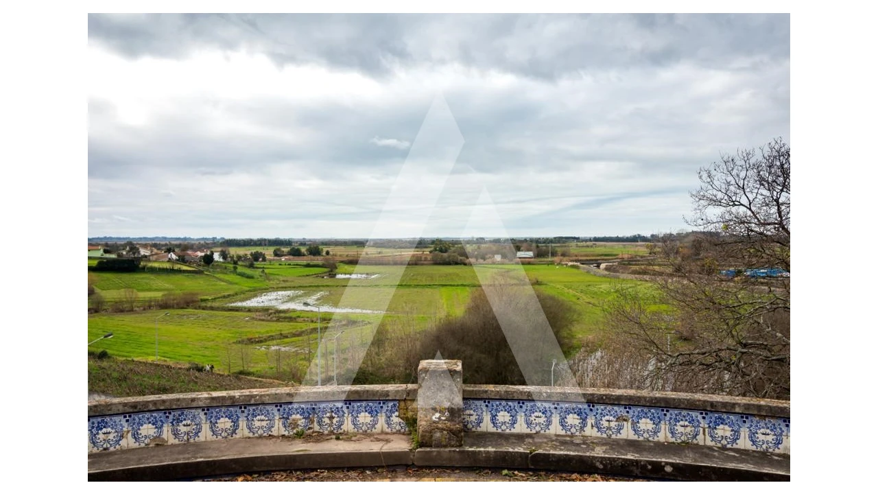 Terreno para Venda em Salreu Foto 8