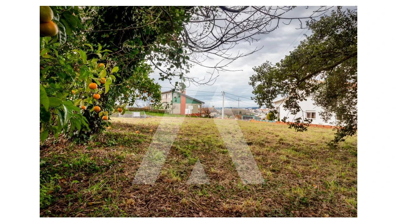 Terreno para Venda em Salreu Foto 9