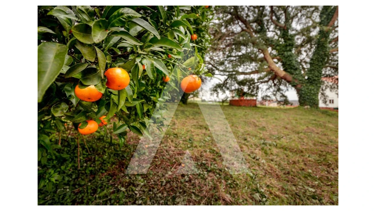 Terreno para Venda em Salreu Foto 10