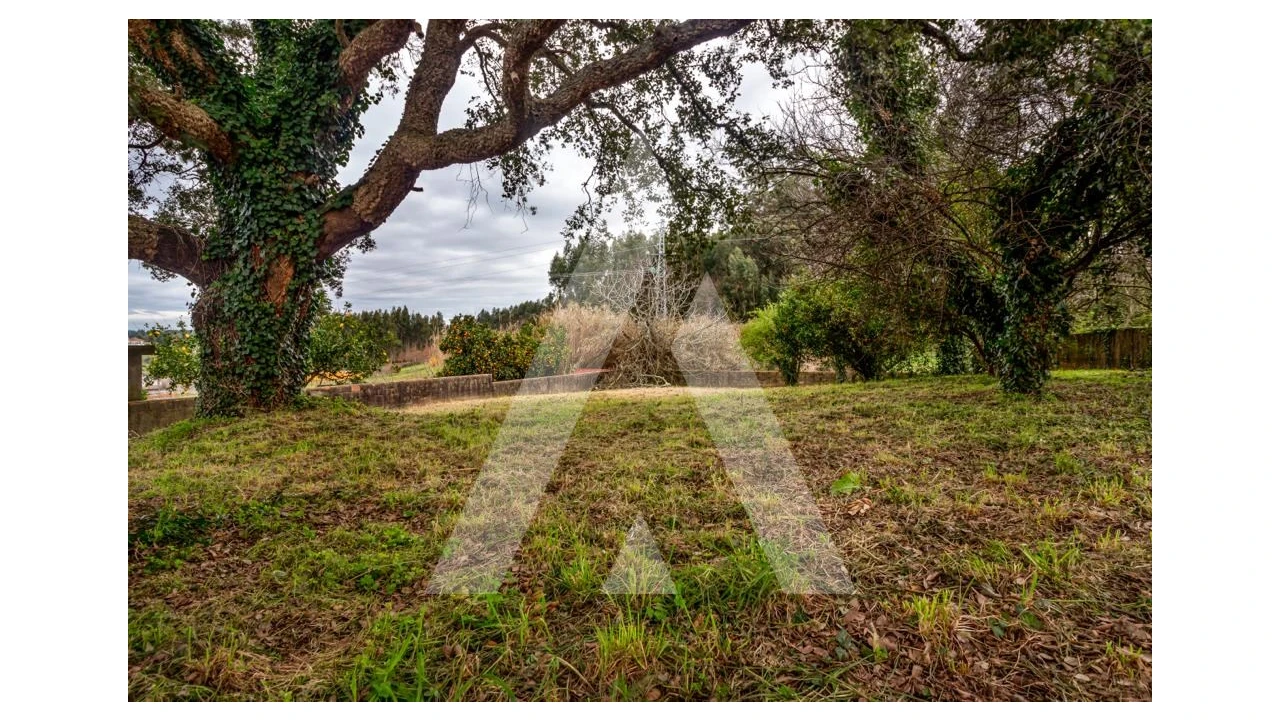 Terreno para Venda em Salreu Foto 12