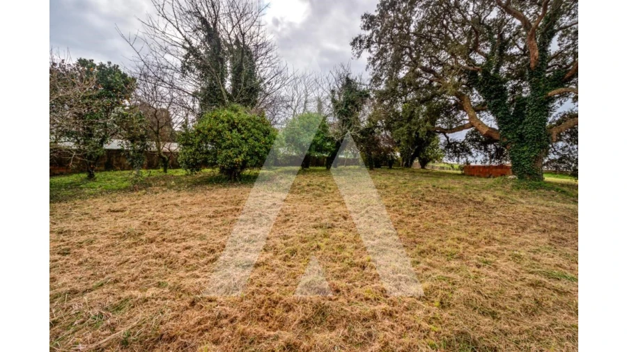 Terreno para Venda em Salreu Foto 2