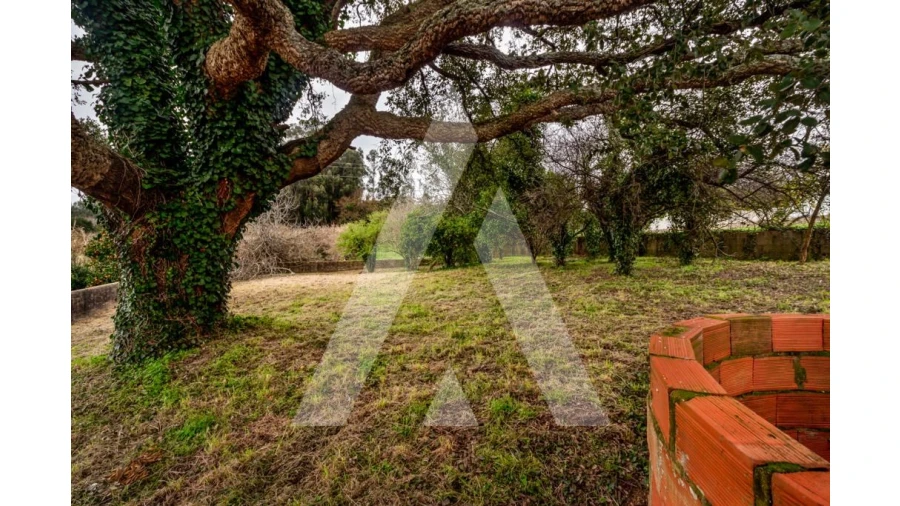 Terreno para Venda em Salreu Foto 3