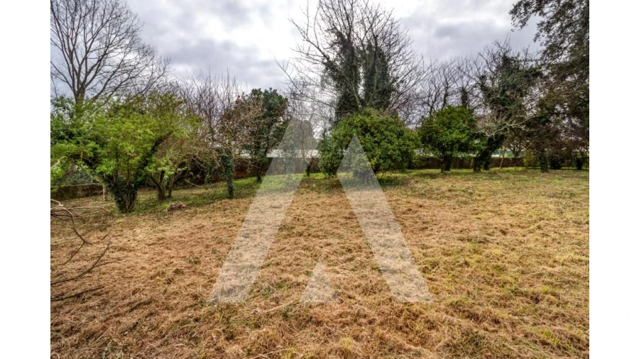 Terreno para Venda em Salreu Foto 5
