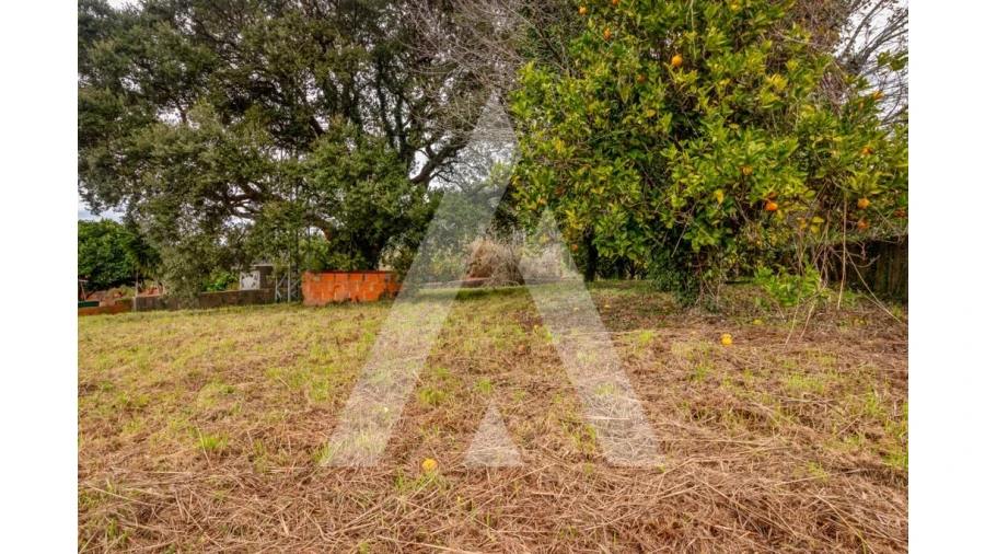 Terreno para Venda em Salreu Foto 6