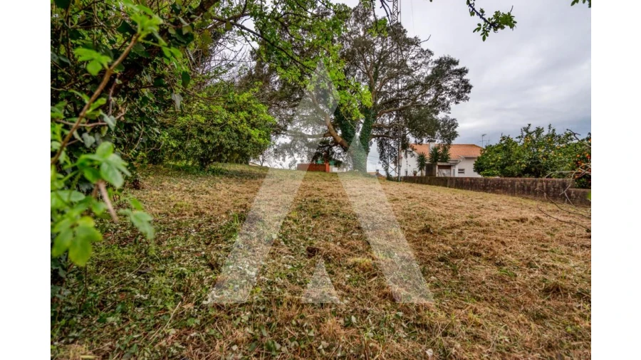 Terreno para Venda em Salreu Foto 7