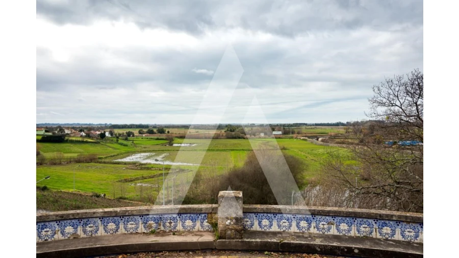 Terreno para Venda em Salreu Foto 8