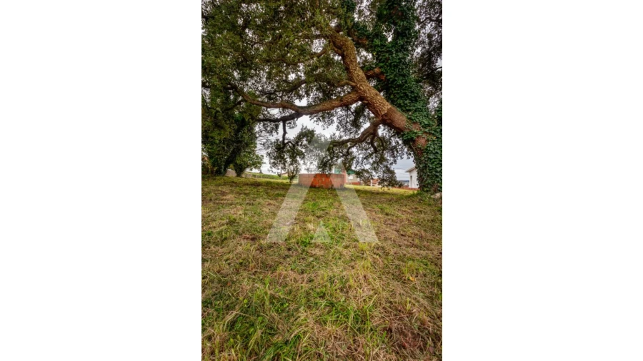 Terreno para Venda em Salreu Foto 11