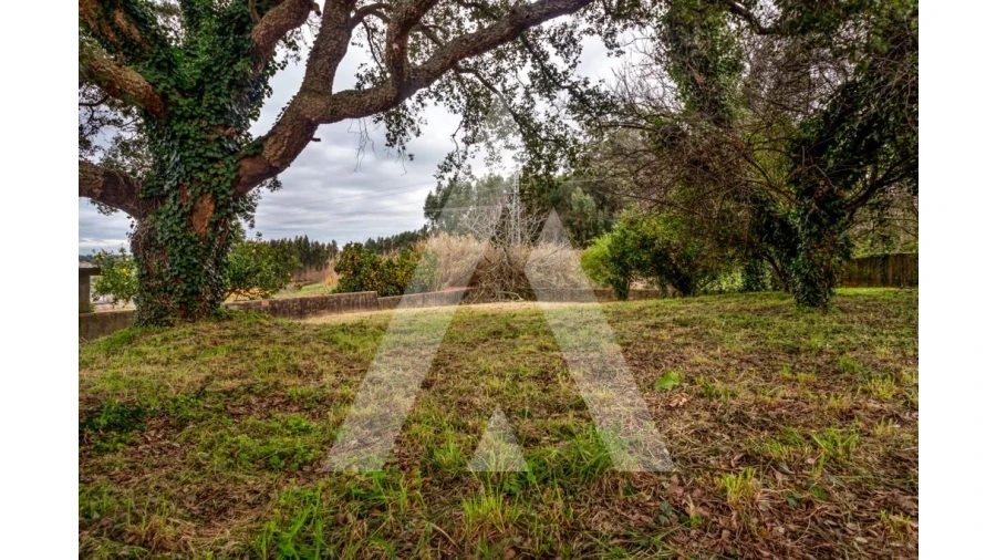 Terreno para Venda em Salreu Foto 12