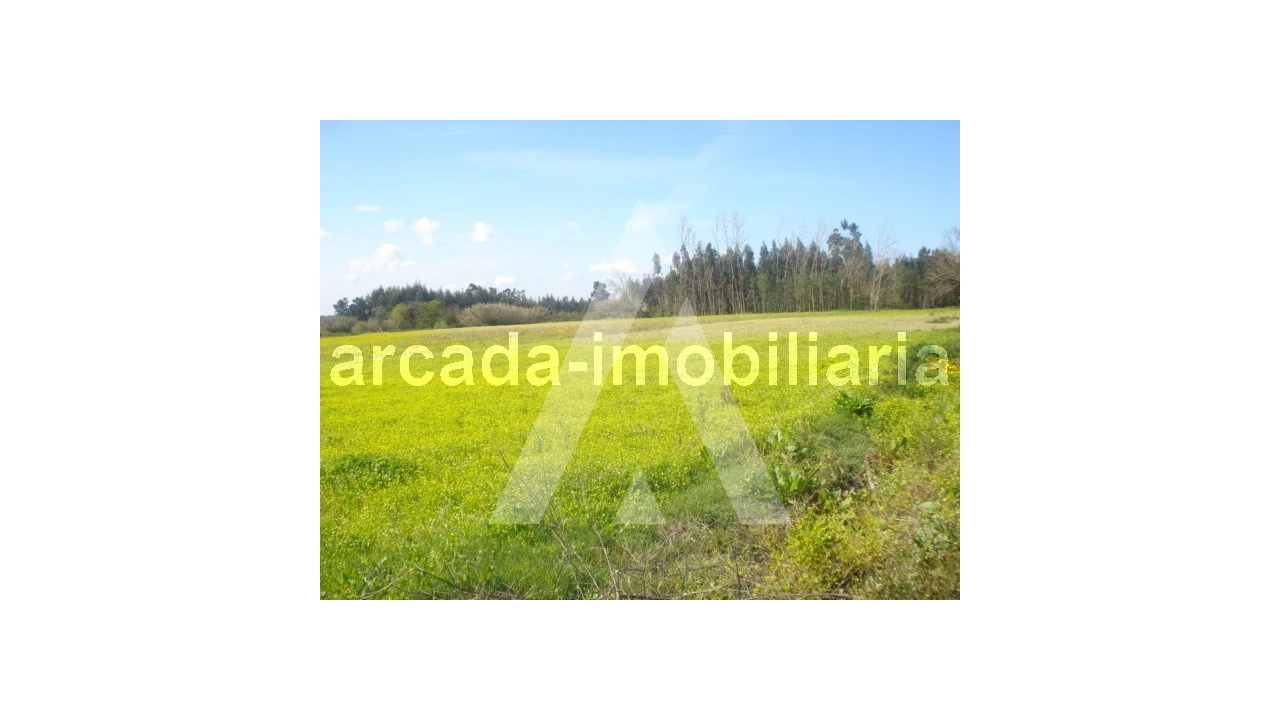 Terreno Comércio / Armazém para Venda em Requeixo, Nossa Senhora de Fátima e Nariz Foto 1