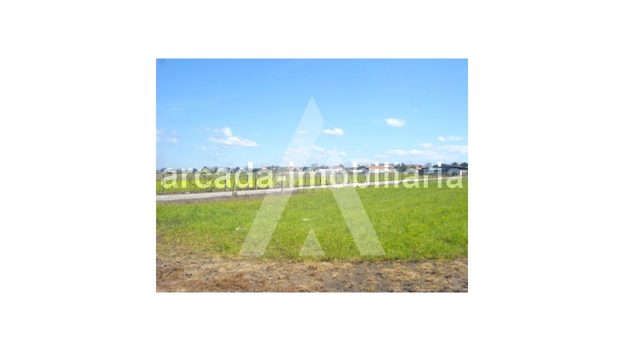 Terreno Comércio / Armazém para Venda em Requeixo, Nossa Senhora de Fátima e Nariz Foto 2