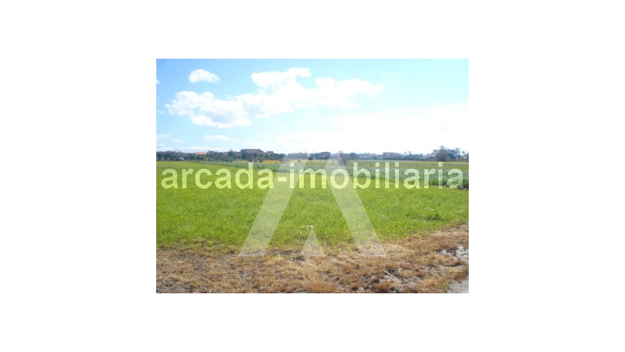 Terreno Comércio / Armazém para Venda em Requeixo, Nossa Senhora de Fátima e Nariz Foto 3