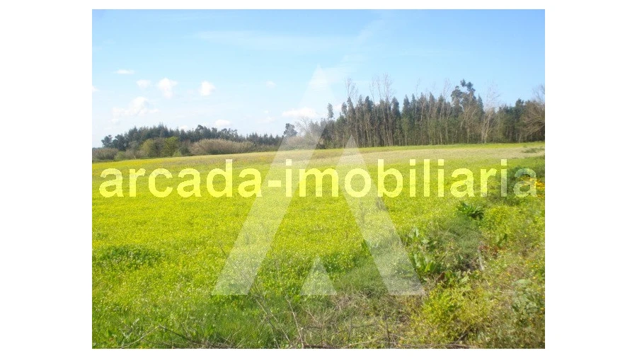 Terreno Comércio / Armazém para Venda em Requeixo, Nossa Senhora de Fátima e Nariz Foto 1