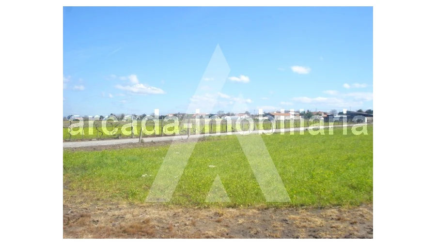 Terreno Comércio / Armazém para Venda em Requeixo, Nossa Senhora de Fátima e Nariz Foto 2