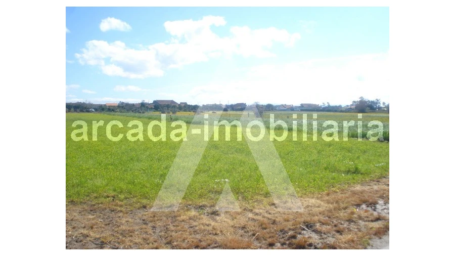 Terreno Comércio / Armazém para Venda em Requeixo, Nossa Senhora de Fátima e Nariz Foto 3