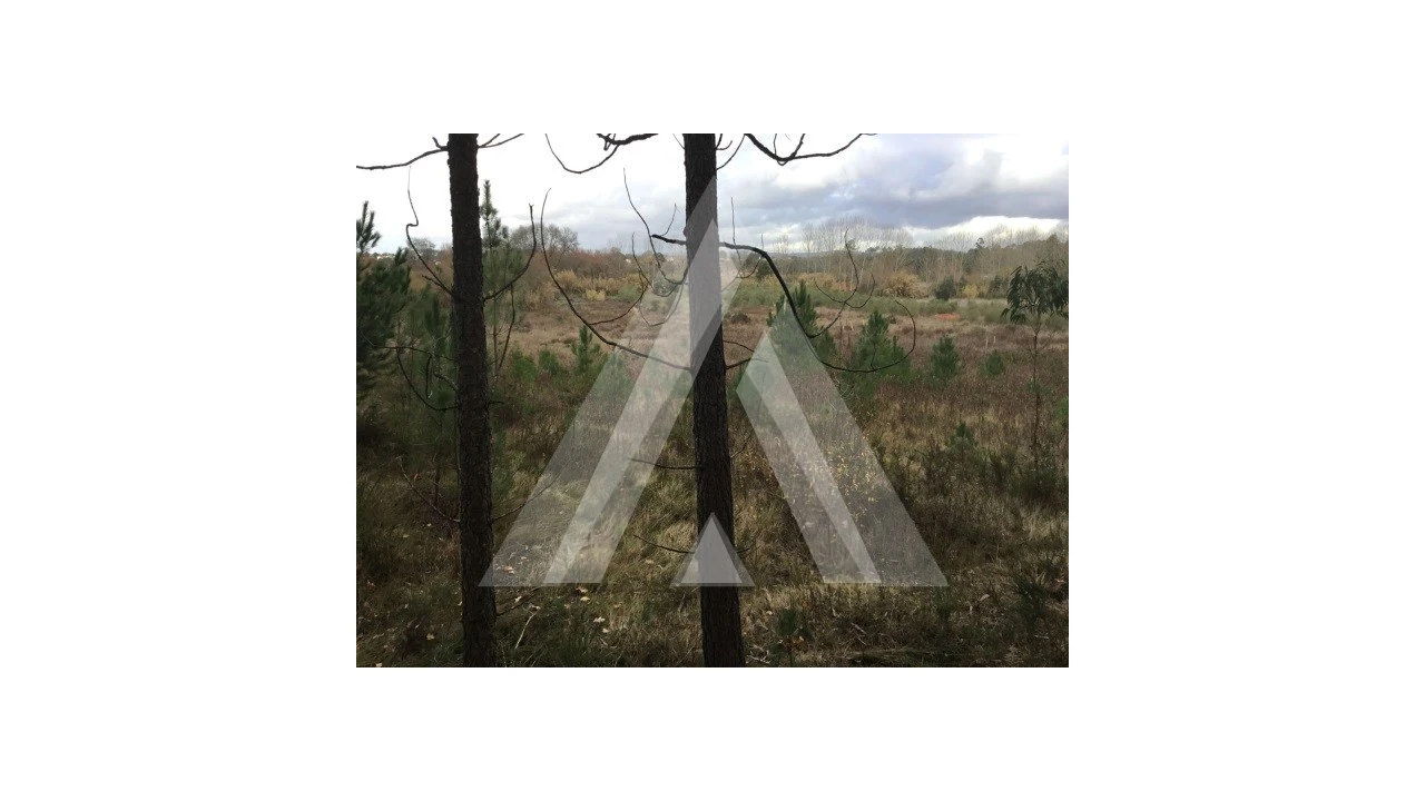 Terreno para Venda em Mealhada, Ventosa do Bairro e Antes Foto 2