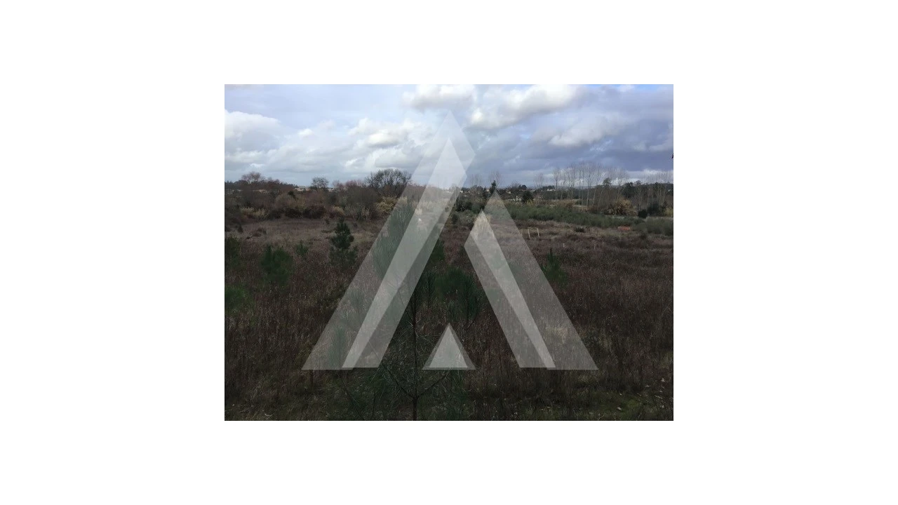 Terreno para Venda em Mealhada, Ventosa do Bairro e Antes Foto 1