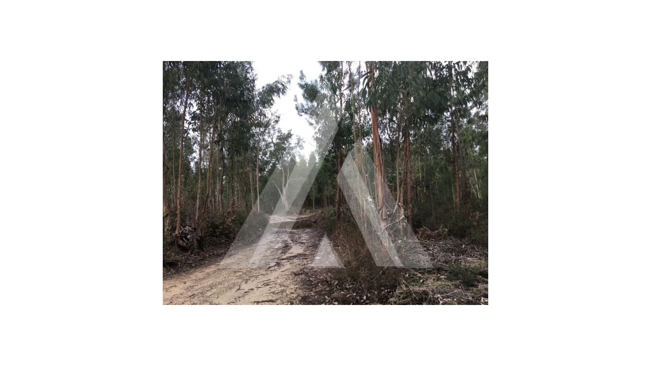 Terreno para Venda em Mealhada, Ventosa do Bairro e Antes Foto 4