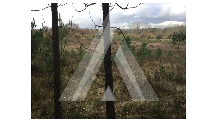 Terreno para Venda em Mealhada, Ventosa do Bairro e Antes Foto 2