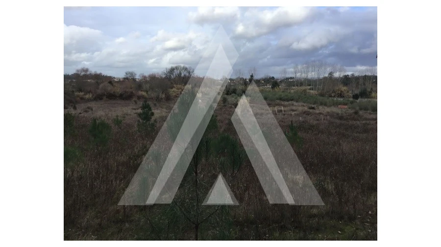 Terreno para Venda em Mealhada, Ventosa do Bairro e Antes Foto 1