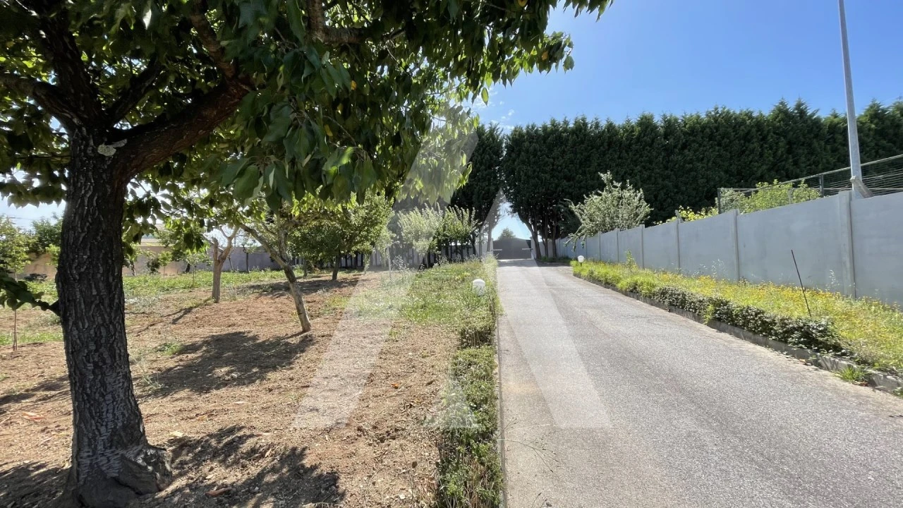 Moradia T4 para Venda em Albergaria-A-Velha e Valmaior Foto 14
