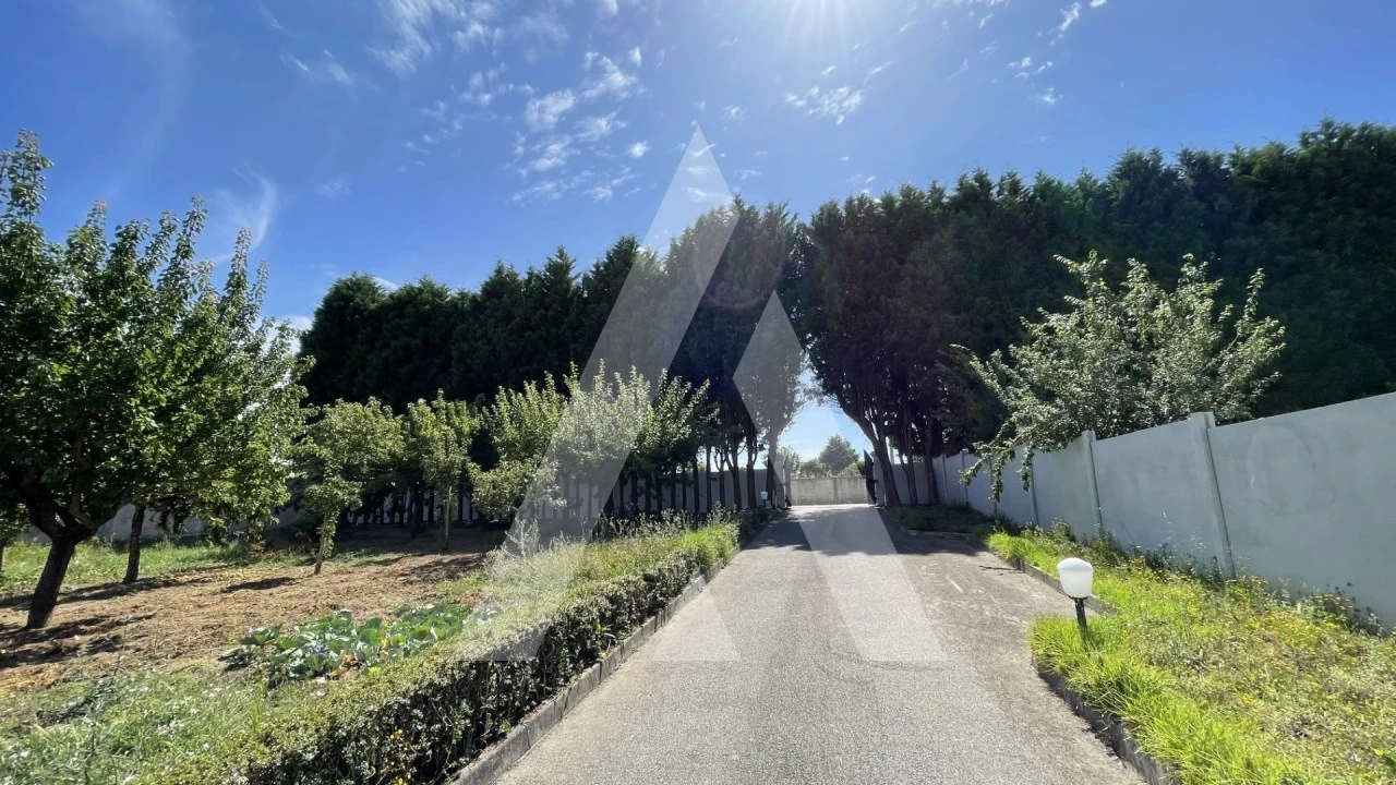 Moradia T4 para Venda em Albergaria-A-Velha e Valmaior Foto 25