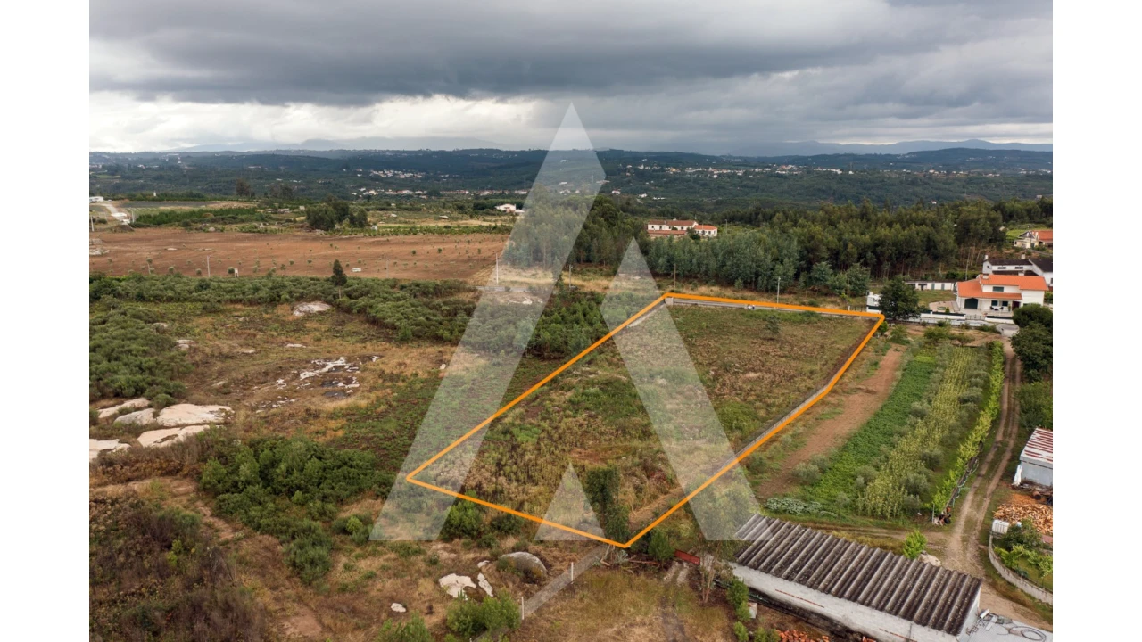 Terreno para Venda em Midões Foto 9