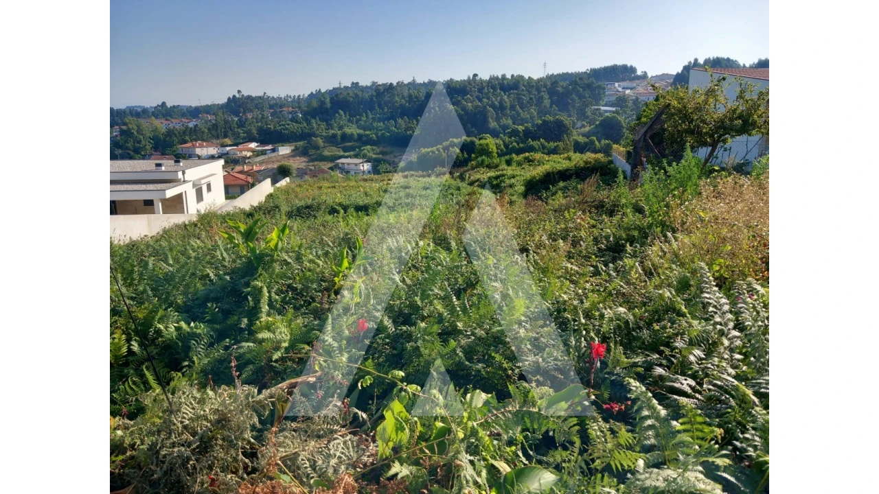 Terreno para Venda em Nogueira da Regedoura Foto 2