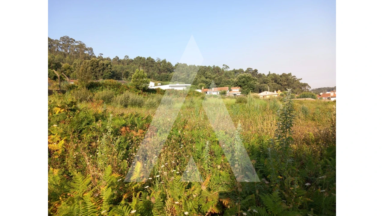 Terreno para Venda em Nogueira da Regedoura Foto 9