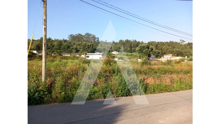 Terreno para Venda em Nogueira da Regedoura Foto 5
