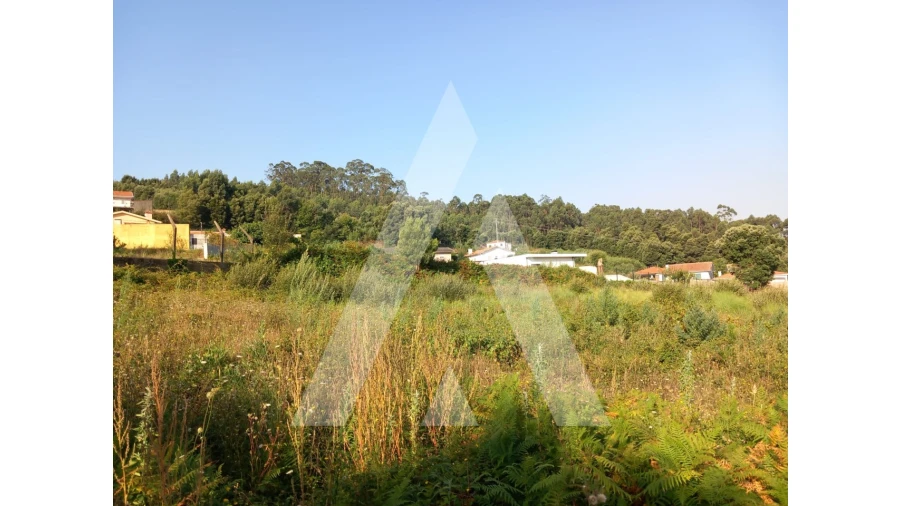 Terreno para Venda em Nogueira da Regedoura Foto 6