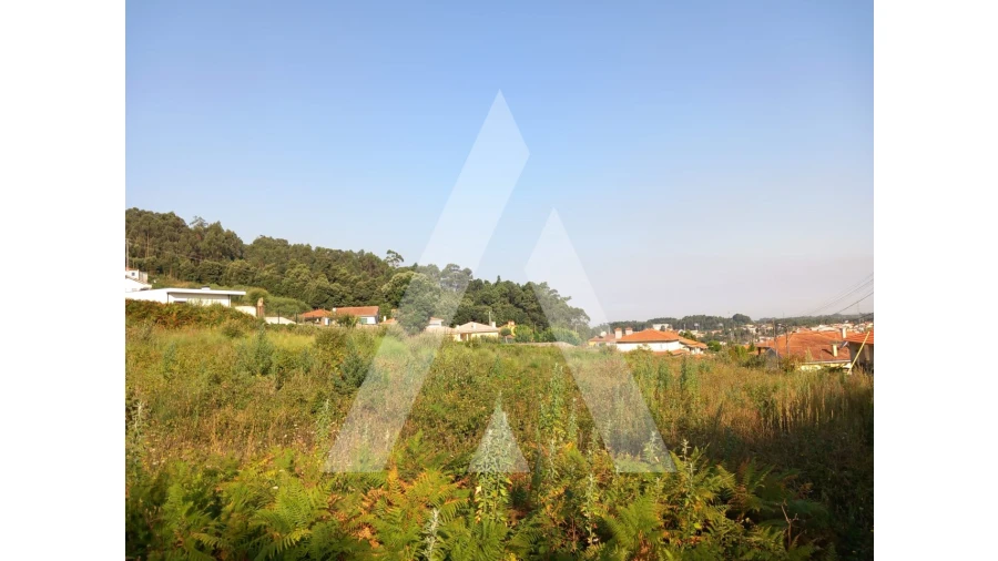 Terreno para Venda em Nogueira da Regedoura Foto 10