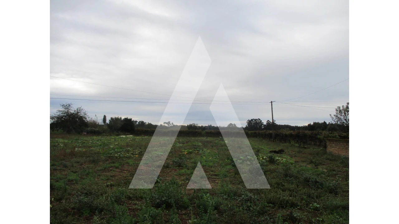 Terreno para Venda em Bustos, Troviscal e Mamarrosa Foto 2