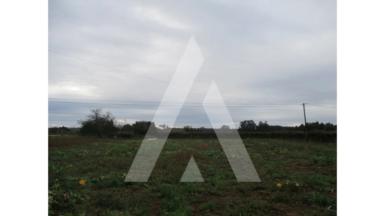 Terreno para Venda em Bustos, Troviscal e Mamarrosa Foto 1