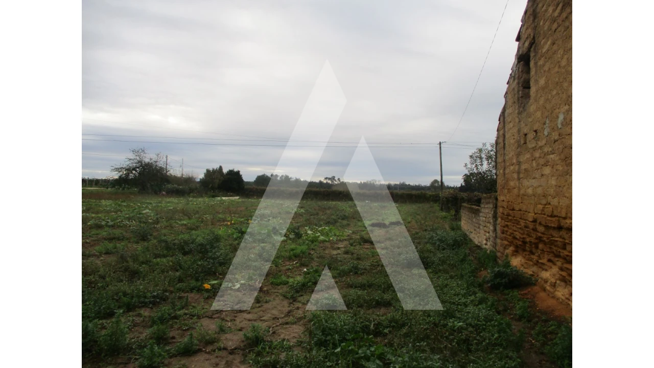 Terreno para Venda em Bustos, Troviscal e Mamarrosa Foto 3