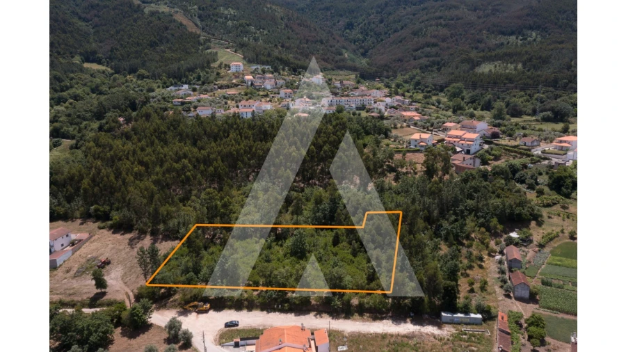 Terreno para Venda em Lousã e Vilarinho Foto 3