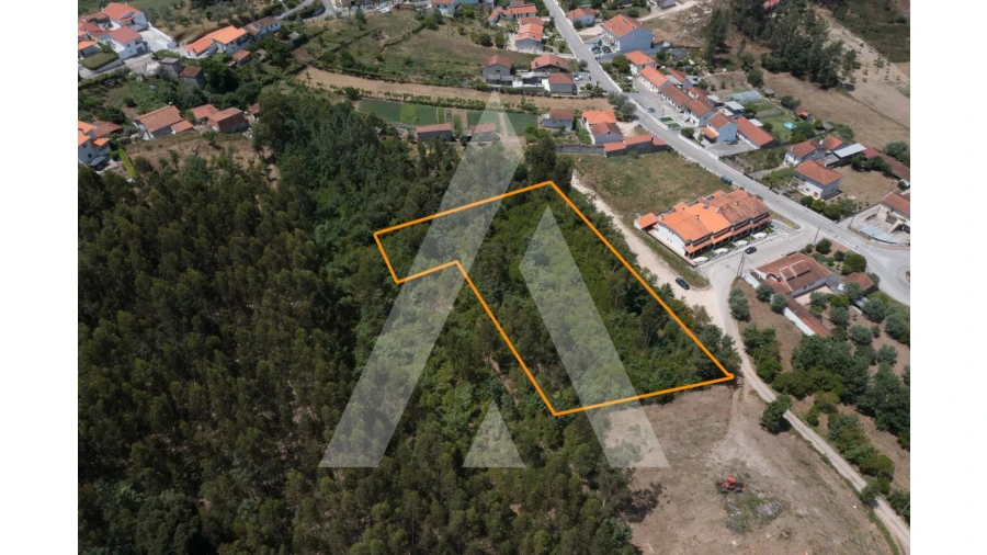 Terreno para Venda em Lousã e Vilarinho Foto 6