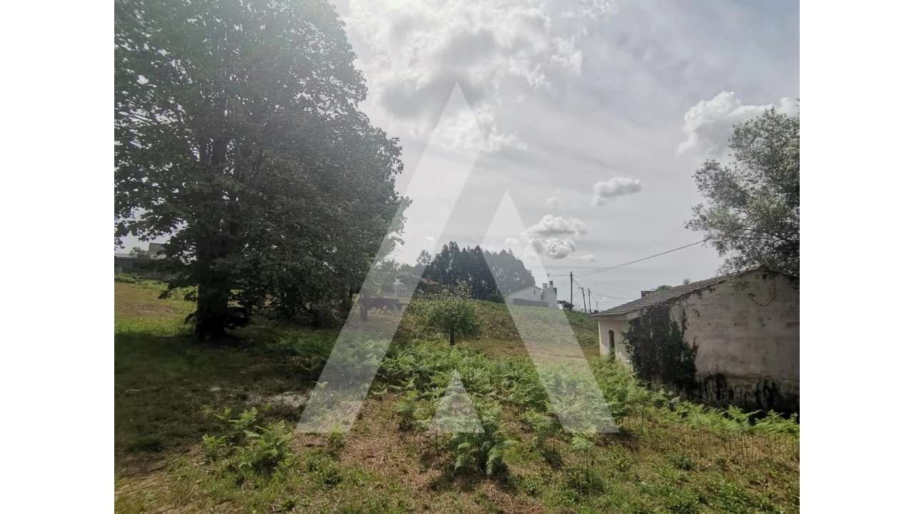 Armazém para Venda em Macinhata do Vouga Foto 20