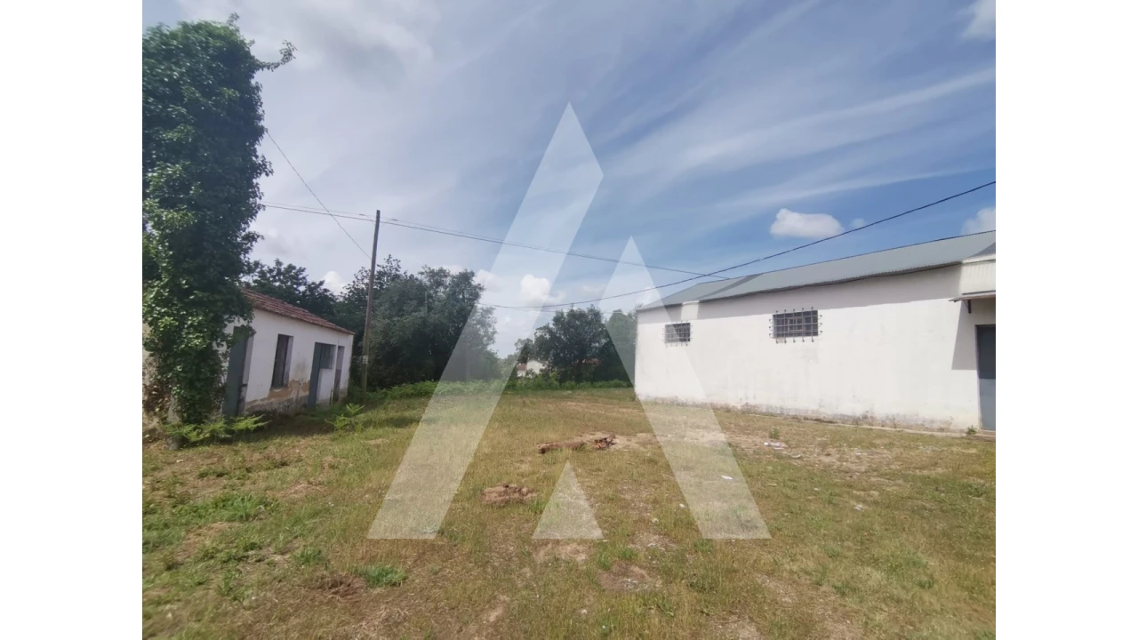 Armazém para Venda em Macinhata do Vouga Foto 18