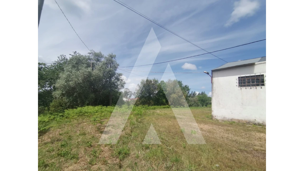 Armazém para Venda em Macinhata do Vouga Foto 21
