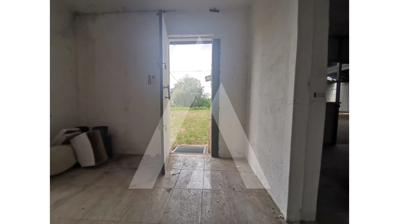 Armazém para Venda em Macinhata do Vouga Foto 11