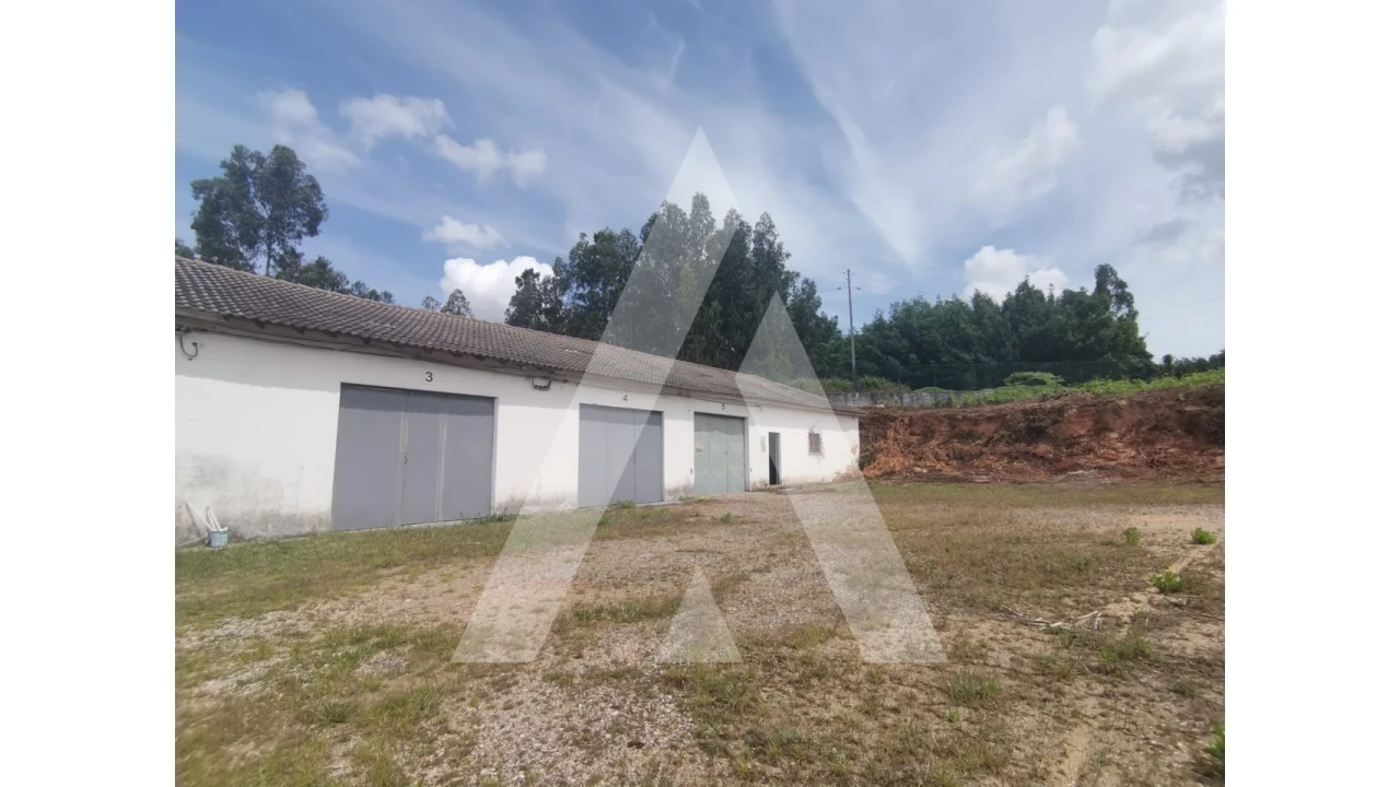 Armazém para Venda em Macinhata do Vouga Foto 6