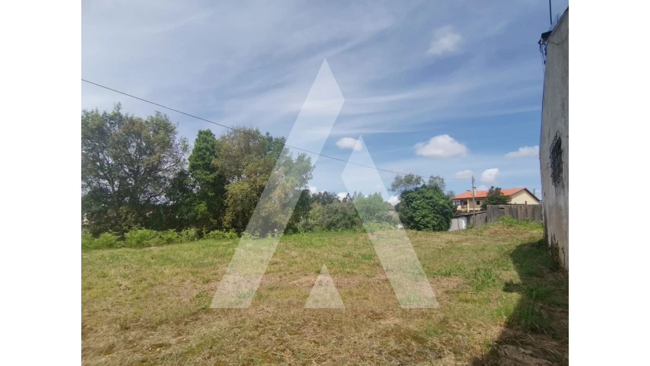 Armazém para Venda em Macinhata do Vouga Foto 19