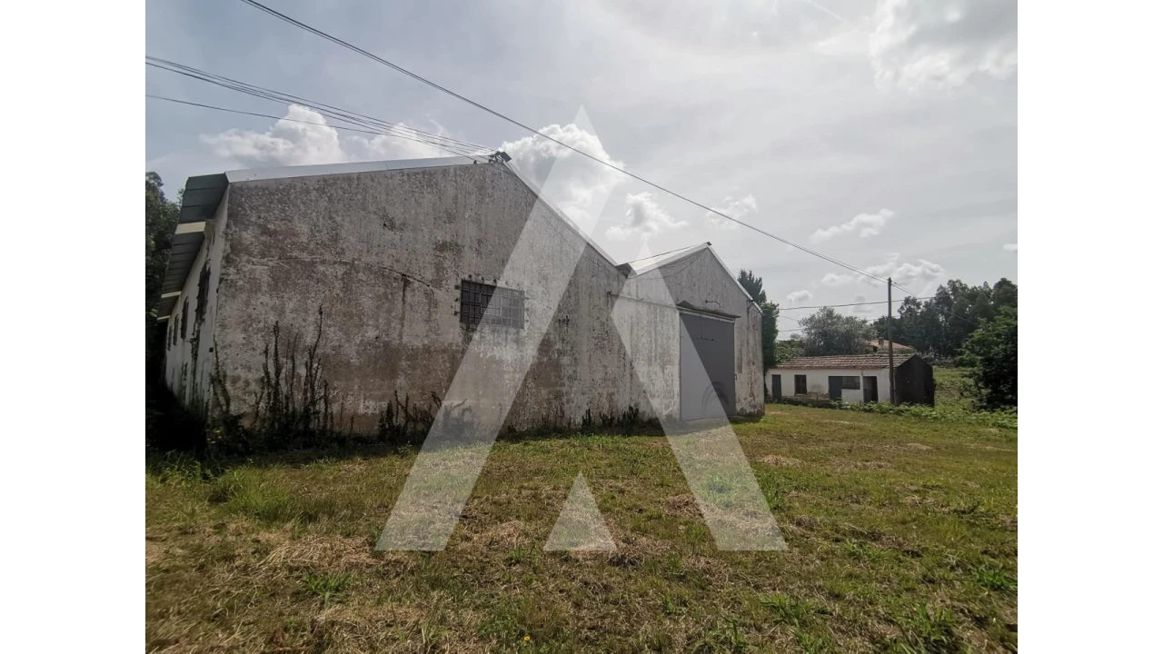 Armazém para Venda em Macinhata do Vouga Foto 22