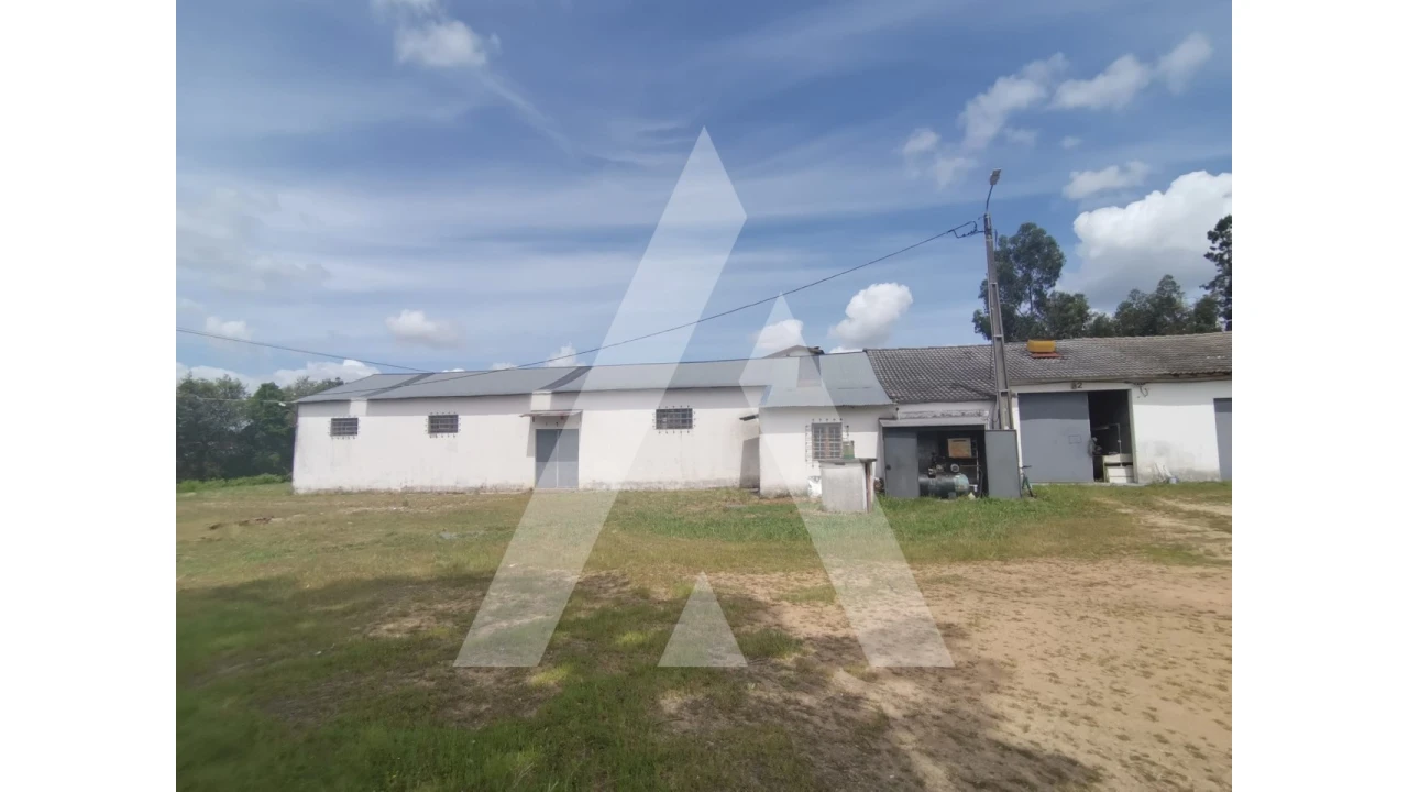 Armazém para Venda em Macinhata do Vouga Foto 17