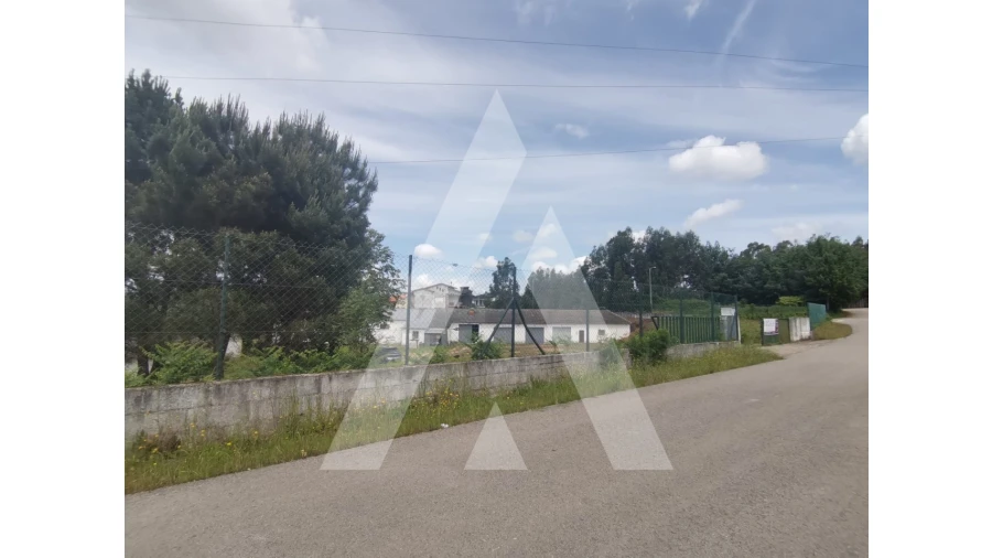 Armazém para Venda em Macinhata do Vouga Foto 30