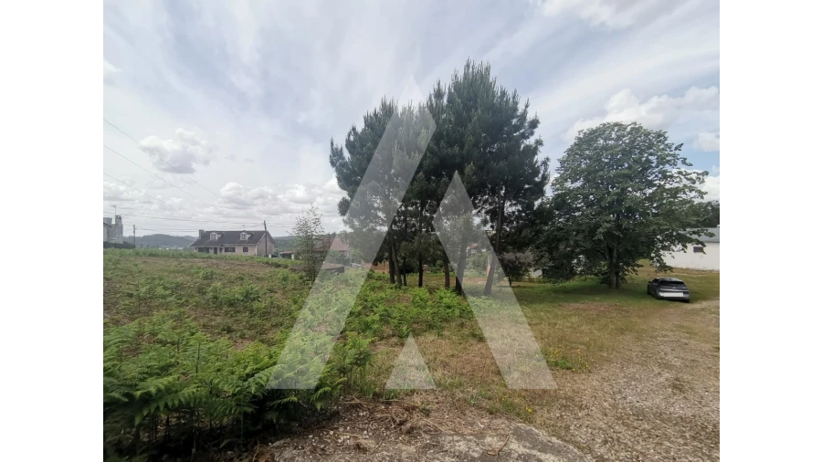 Armazém para Venda em Macinhata do Vouga Foto 26